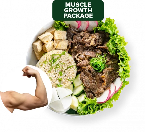 Muscle Gain